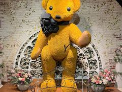 -济州岛泰迪熊博物馆