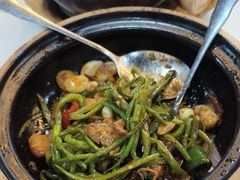 -明本湛江鸡•海鲜小厨(陈家祠店)