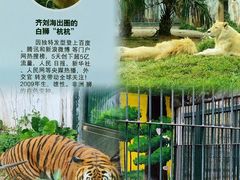 -广州动物园