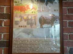 百乐天特供毛肚-白乐天毛肚火锅馆(南滨路店)