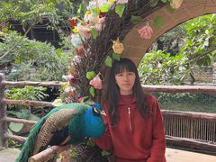 -海南槟榔谷黎苗文化旅游区