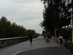 -宝安西湾红树林湿地公园