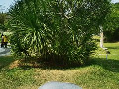 -三亚南山文化旅游区