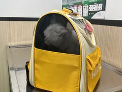 -瑞派宠物医院(搏威敦和院)