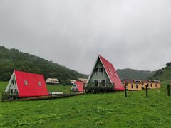 -关山草原