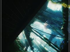 -百丽宫影城(CGS激光苏宁广场店)