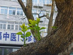 -长椿街(地铁站)