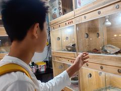 -青石桥花鸟鱼虫市场(叠翠城店)