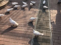 -王府井奥莱临潼小镇(临潼店)