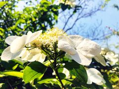 -尚贤河湿地
