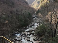 -青峰峡国家森林公园