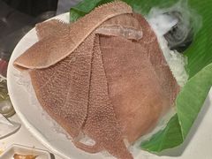 -九鼎轩脆毛肚火锅(三钢里店)