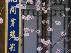 -桃花堤公园