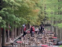 -泗洪洪泽湖湿地景区
