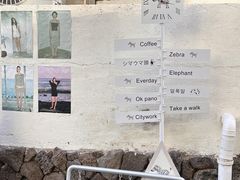 -溪岸路花鸟市场