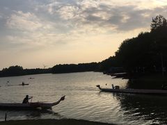 -上海海湾国家森林公园