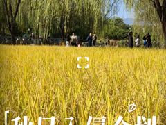 -北坞公园
