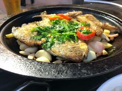 -喷泉广场餐厅·宵夜·海鲜烧烤大排档(长隆企鹅酒店)