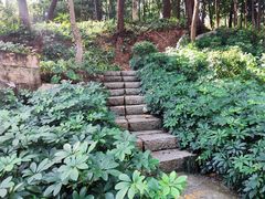 -蟹山公园