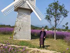 -北京东方普罗旺斯薰衣草庄园