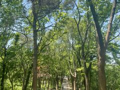 -虞山风景区