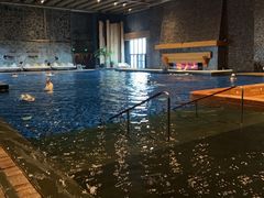 -清河半岛温泉度假酒店