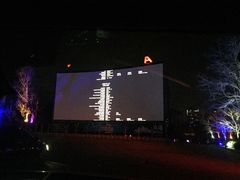 -枫花园汽车电影院(朝阳公园店)