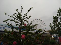 -清水湾3号(东方小周海鲜店)