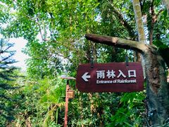 -呀诺达热带雨林