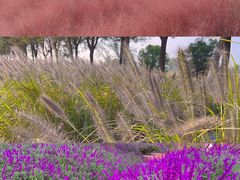 -汉长安城未央宫国家考古遗址公园