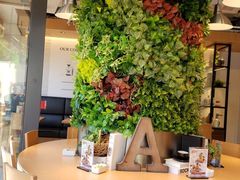 大堂-MELLOW BROWN COFFEE by UCC(沙田新城市广场1期店)