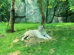 -北京野生动物园