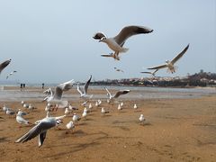 -青岛第一海水浴场