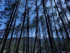 -硗碛藏寨·神木垒景区