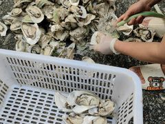 -蚝抵食·湛江生蚝(湾北路店)