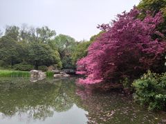 -无锡梅园公园
