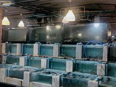 -大螃蟹海鲜餐厅