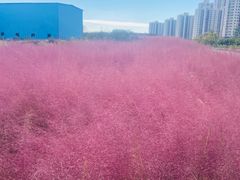 -尚贤河湿地