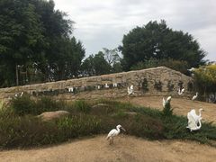 -琅岐红光湖公园
