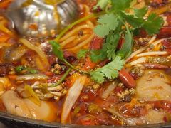 -鸿顺老铁锅美蛙鱼府(解放碑店)