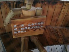 -南宁良凤江国家森林公园