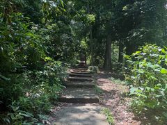 -青龙山国家森林公园