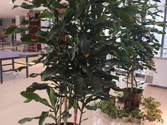 -偶屋里钵少爷(时代广场店)