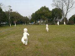 -九里河湿地公园
