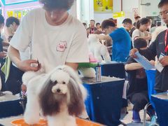 -东浩兰生上海世博展览馆