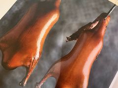 -小大董·烤鸭(凤凰汇店)