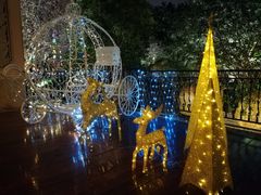 -上海浦东星河湾酒店