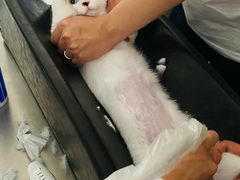 -萌兽医馆·绝育·24小时内科·宠物医院(德胜店)