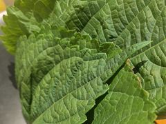 -炽城·烤肉名家(鸿达中央广场店)