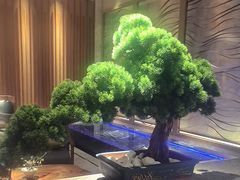 -浅深(北京北四环精品店)